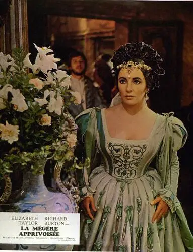 Elizabeth Taylor Wall Poster picture 21885