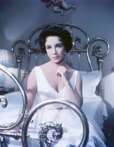 Elizabeth Taylor Wall Poster picture 351731