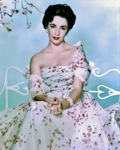 Elizabeth Taylor Wall Poster picture 351747