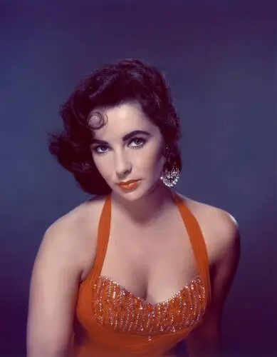 Elizabeth Taylor Wall Poster picture 351763