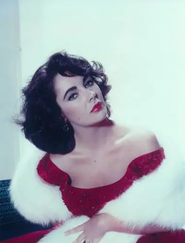 Elizabeth Taylor Wall Poster picture 351764