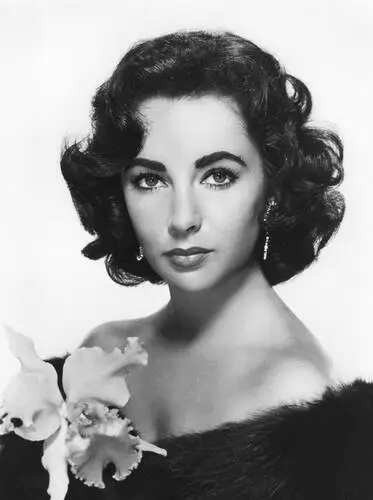 Elizabeth Taylor Wall Poster picture 351779