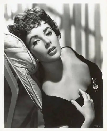 Elizabeth Taylor Wall Poster picture 351798