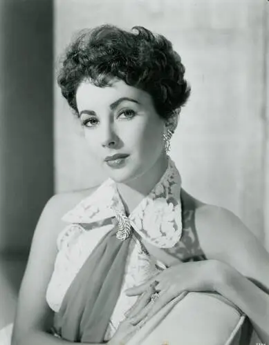 Elizabeth Taylor Wall Poster picture 351806