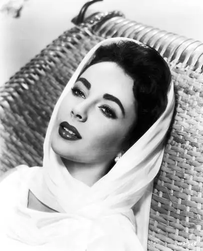 Elizabeth Taylor Wall Poster picture 351817