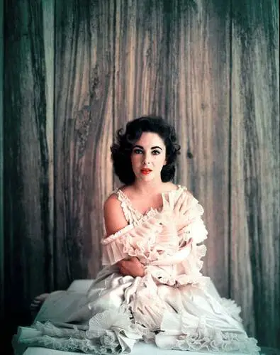 Elizabeth Taylor Wall Poster picture 351825