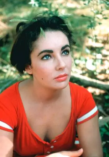 Elizabeth Taylor Wall Poster picture 351826