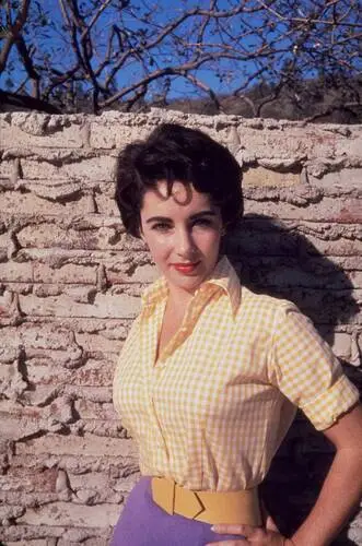 Elizabeth Taylor Wall Poster picture 351827