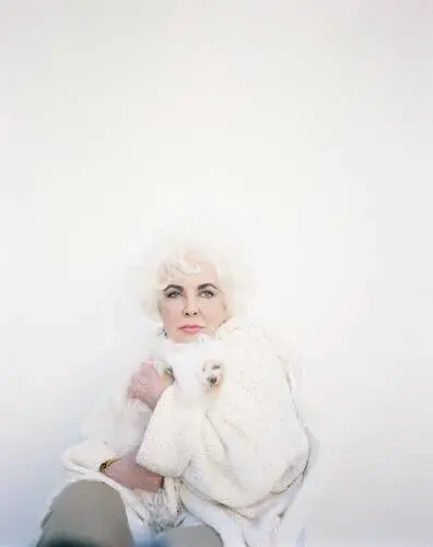 Elizabeth Taylor Wall Poster picture 599207