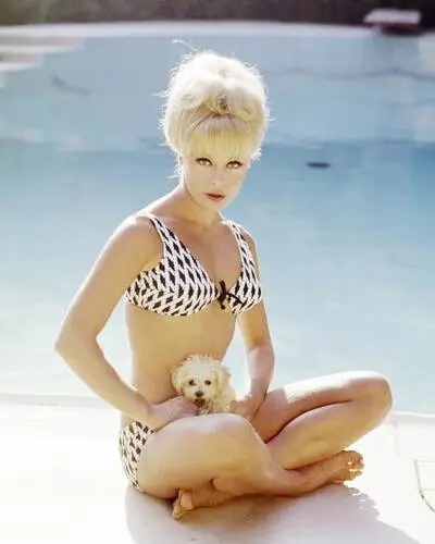 Elke Sommer Jigsaw Puzzle picture 351985