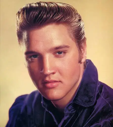 Elvis Presley Jigsaw Puzzle picture 352024