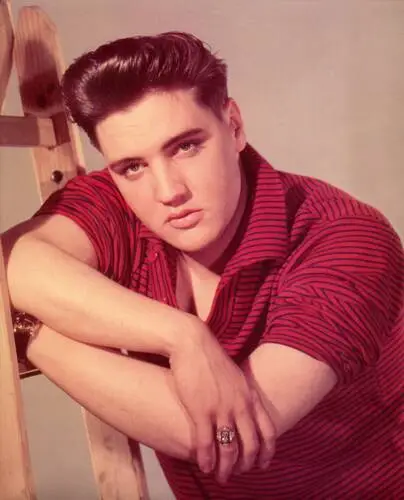 Elvis Presley Fridge Magnet picture 352025