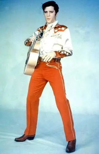Elvis Presley Fridge Magnet picture 352049