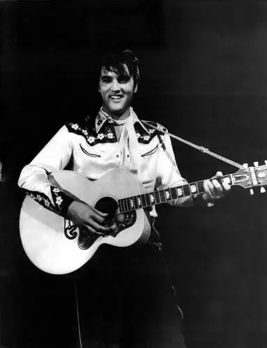 Elvis Presley Wall Poster picture 352050