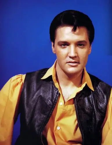 Elvis Presley Jigsaw Puzzle picture 352066