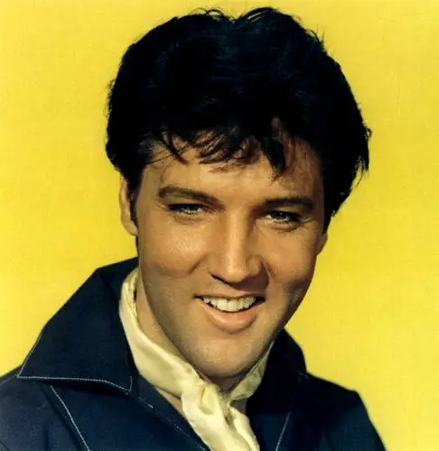 Elvis Presley Jigsaw Puzzle picture 352071