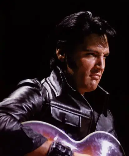 Elvis Presley Wall Poster picture 352078