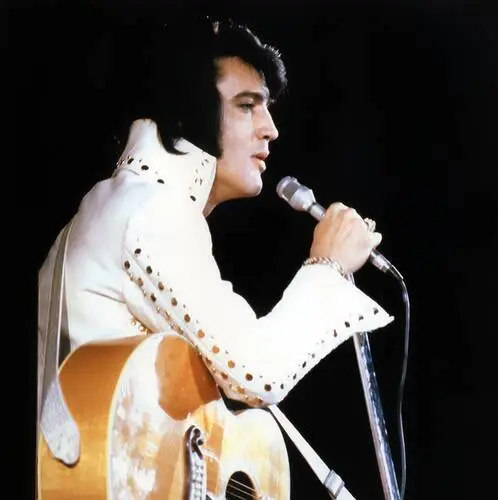 Elvis Presley Fridge Magnet picture 352095