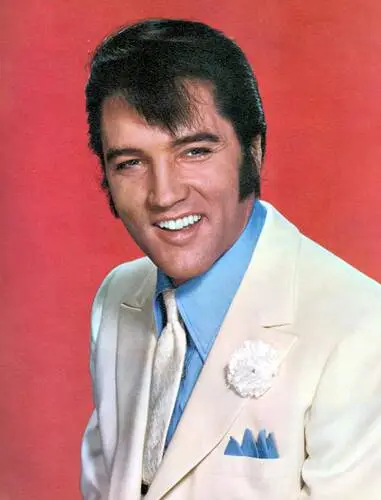 Elvis Presley Jigsaw Puzzle picture 352126