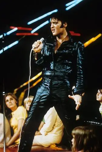 Elvis Presley Jigsaw Puzzle picture 352140