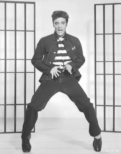 Elvis Presley Wall Poster picture 352141