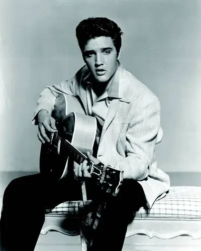 Elvis Presley Wall Poster picture 352152