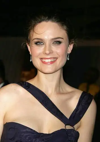 Emily Deschanel Wall Poster picture 33849