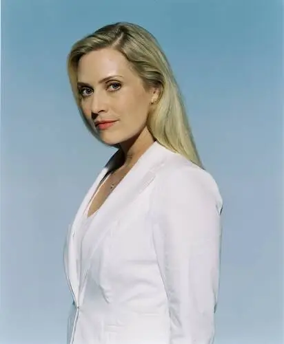 Emily Procter Wall Poster picture 616108