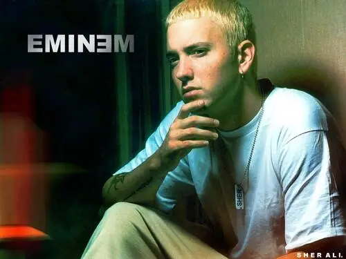 Eminem Wall Poster picture 304937