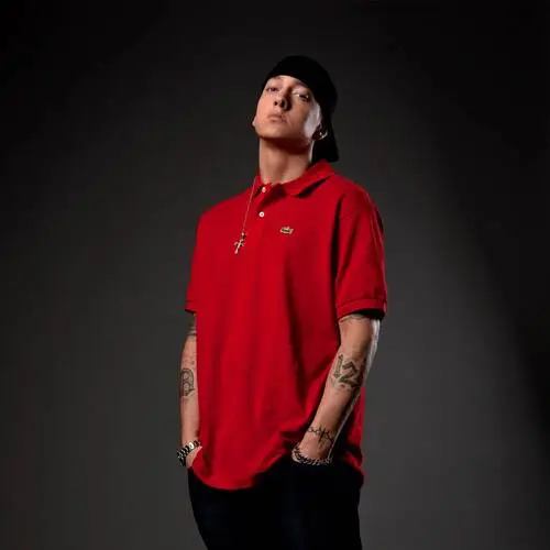 Eminem Wall Poster picture 304940