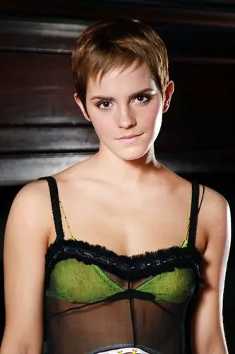 Emma Watson Wall Poster picture 620760