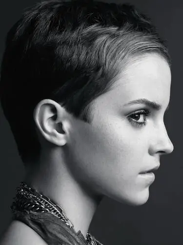 Emma Watson Wall Poster picture 620791