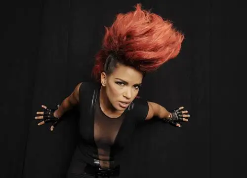 Eva Simons Wall Poster picture 604486
