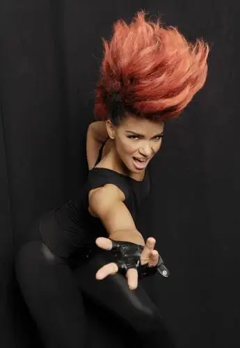 Eva Simons Wall Poster picture 604487