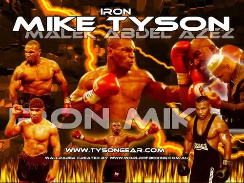 Evander Holyfield Wall Poster picture 79311
