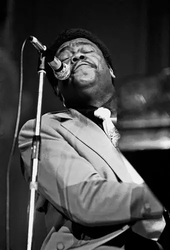 Fats Domino Wall Poster picture 780603