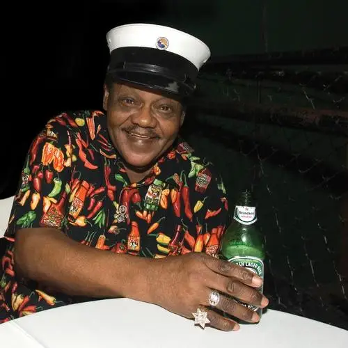 Fats Domino Jigsaw Puzzle picture 780620