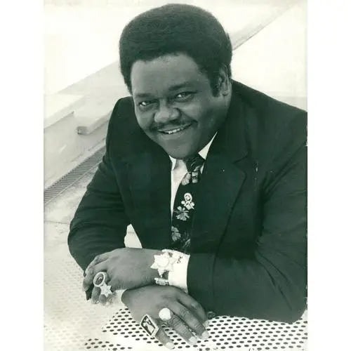 Fats Domino Protected Face mask - idPoster.com