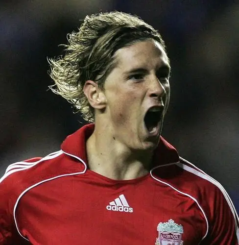 Fernando Torres Wall Poster picture 87680