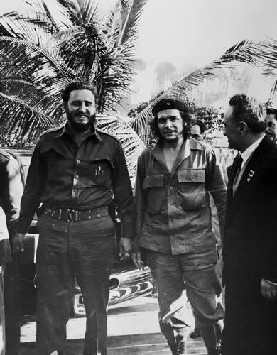 Fidel Castro Fridge Magnet picture 478348