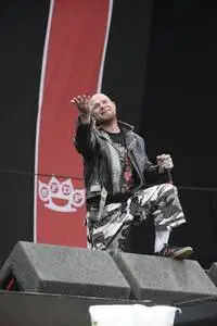 Five Finger Death Punch posters and prints