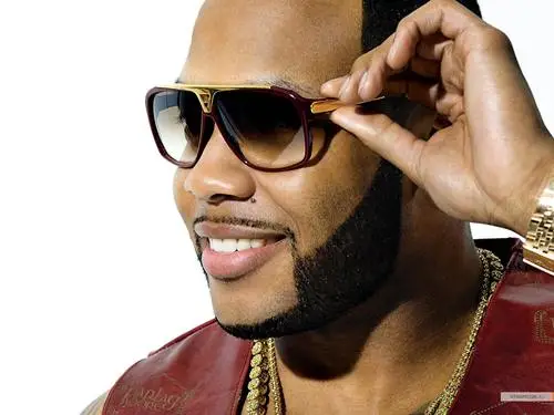 Flo Rida Jigsaw Puzzle picture 7610
