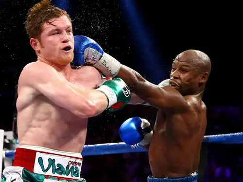 Floyd Mayweather Jr Computer MousePad picture 282937