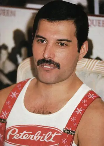 Freddie Mercury Fridge Magnet picture 355701