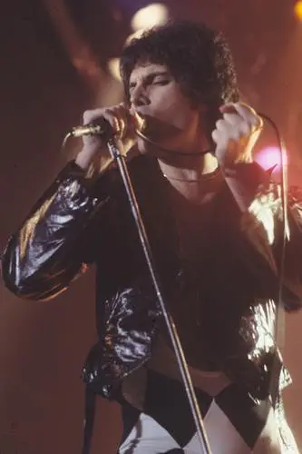 Freddie Mercury Tote Bag - idPoster.com