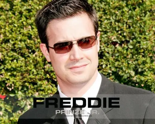 Freddie Prinze Jr White T-Shirt - idPoster.com