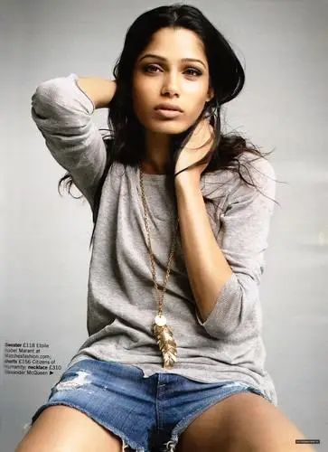 Freida Pinto Wall Poster picture 64182