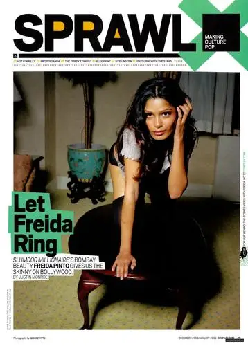 Freida Pinto Wall Poster picture 64192
