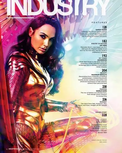Gal Gadot Wall Poster picture 20462