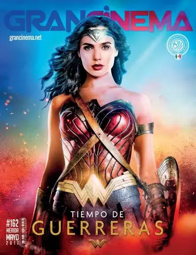Gal Gadot Wall Poster picture 683102